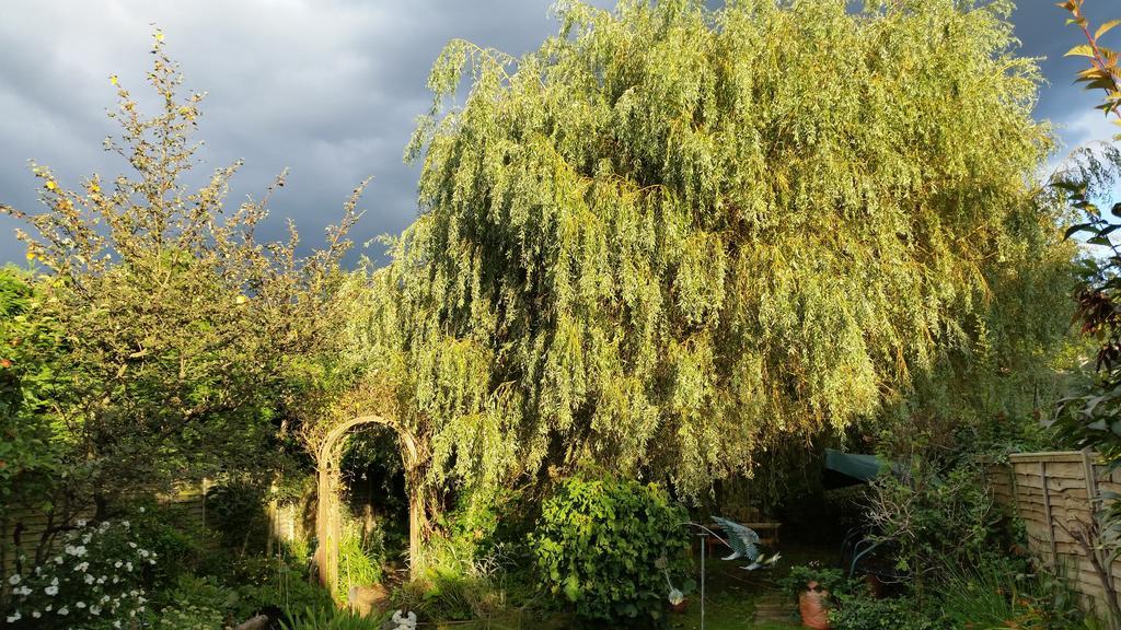 Bed and Breakfast Rowlands Castle No 41 Rowland's Castle Экстерьер фото